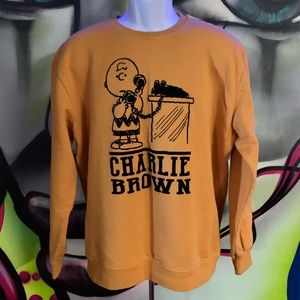 Zara Charlie Brown sweater